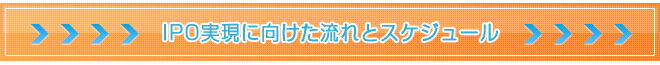 IPO実現に向けた流れとスケジュール